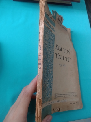 KIM TÚY TÌNH TỪ - PHẠM KIM CHI