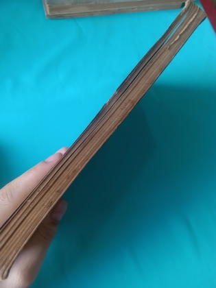 KIM VÂN KIỀU bình giảng