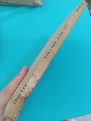 KIM TÚY TÌNH TỪ - PHẠM KIM CHI (1973)
