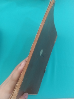 CHIÊU HỒN THẬP LOẠI CHÚNG SINH - ĐÀM QUANG THIỆN