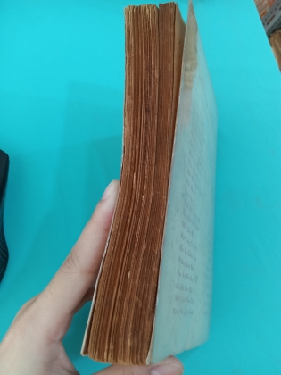 NGƯỜI YÊU LÝ TƯỞNG 