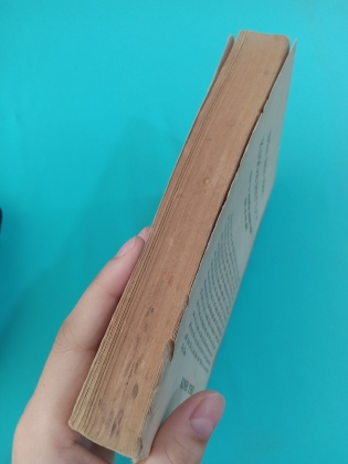 THẾ GIỚI THI CA NGUYỄN DU - NGUYỄN ĐĂNG THỤC