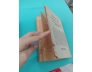 THẾ GIỚI THI CA NGUYỄN DU - NGUYỄN ĐĂNG THỤC
