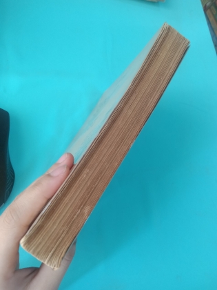 SỐNG VÀ VIẾT - NGUYỄN NGU Í (BẢN ĐẶC BIỆT)