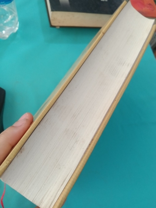 VIỆT NAM PHẬT GIÁO SỬ LUẬN