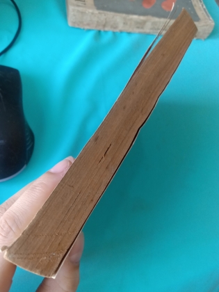 NGƯỜI ĐÀN BÀ TRONG CỒN CÁT