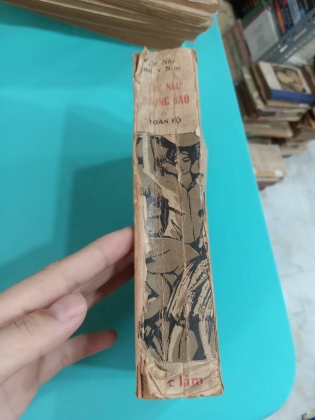 TỤC NGỮ PHONG DAO - NGUYỄN VĂN NGỌC