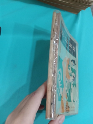 LIÊU TRAI CHÍ DỊ