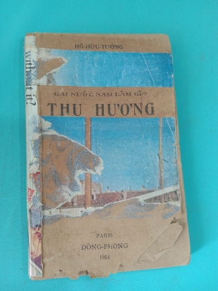 GÁI NƯỚC NAM LÀM GÌ