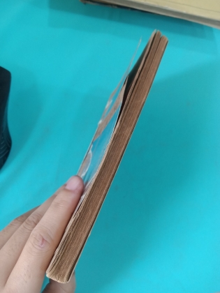 GÁI NƯỚC NAM LÀM GÌ