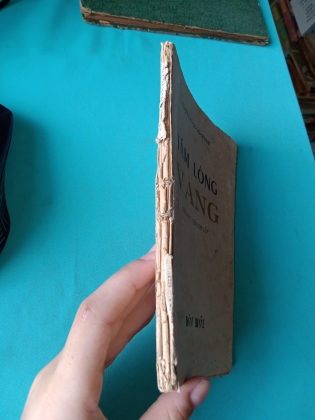 TẤM LÒNG VÀNG
