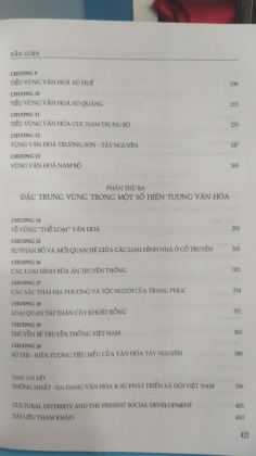 VĂN HOÁ VÙNG VÀ PHÂN VÙNG VĂN HOÁ Ở VIỆT NAM