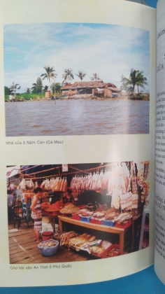 VĂN HOÁ VÙNG VÀ PHÂN VÙNG VĂN HOÁ Ở VIỆT NAM