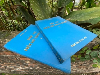HỘI HÈ ĐÌNH ĐÁM