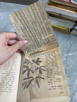 Dược lý trị liệu thuốc nam