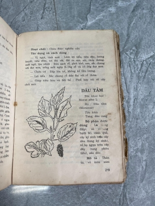 Dược lý trị liệu thuốc nam