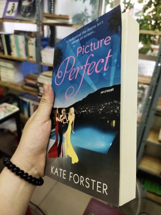 PICTURE PERFECT