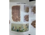 Y DƯỢC HỌC TRUNG QUỐC