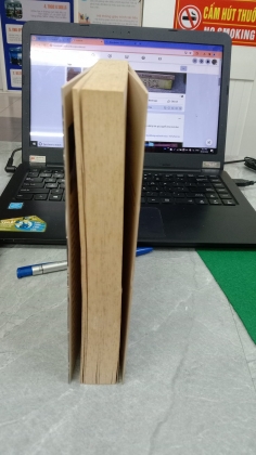 Ký ức lạc loài