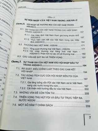 VIỆT NAM HỘI NHẬP KINH TẾ ĐÔNG Á TRONG KHUÔN KHỔ ASEAN + 3