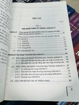 VIỆT NAM HỘI NHẬP KINH TẾ ĐÔNG Á TRONG KHUÔN KHỔ ASEAN + 3