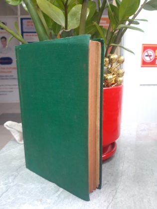 TÌNH SỬ DƯƠNG QUÝ PHI