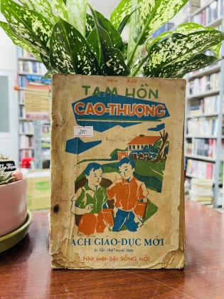 TÂM HỒN CAO THƯỢNG - hà mai anh