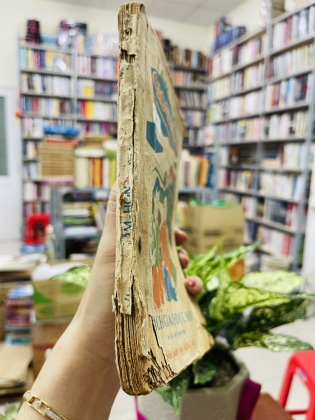 TÂM HỒN CAO THƯỢNG - hà mai anh