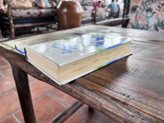 NGỒI KHÓC TRÊN CÂY 