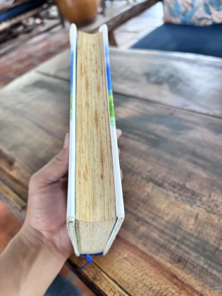 NGỒI KHÓC TRÊN CÂY 