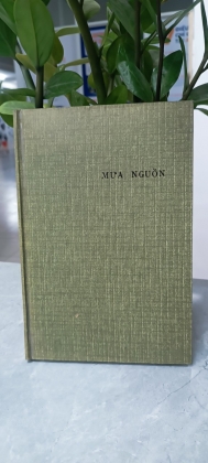 MƯA NGUỒN