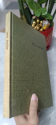 MƯA NGUỒN
