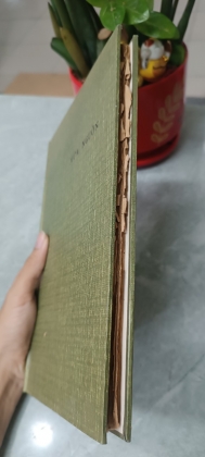MƯA NGUỒN