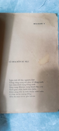MƯA NGUỒN