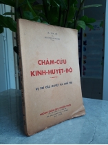 CHÂM CỨU KINH HUYỆT ĐỒ