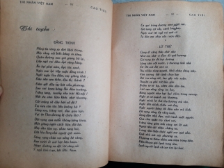 THI NHÂN VIỆT NAM THẾ HỆ 1954 - 1973 - NGUYỄN TẤN LONG