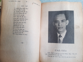 THI NHÂN VIỆT NAM THẾ HỆ 1954 - 1973 - NGUYỄN TẤN LONG