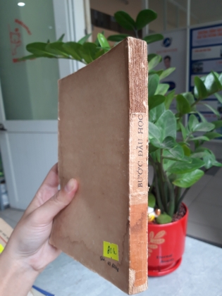 BƯỚC ĐẦU HỌC VẼ