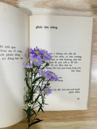 Thơ Du Tử Lê