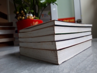 HỒI KÝ ĐẶNG THAI MAI