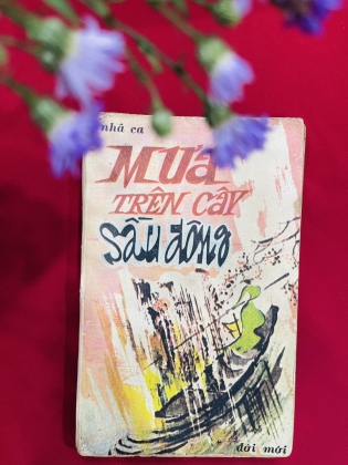 MƯA TRÊN CÂY SẦU ĐÔNG