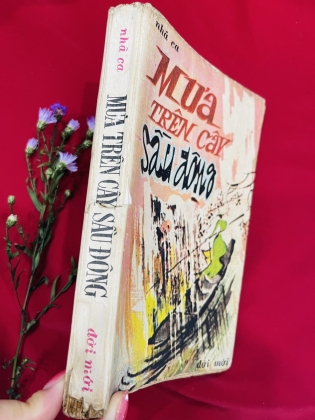 MƯA TRÊN CÂY SẦU ĐÔNG