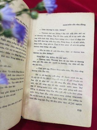 MƯA TRÊN CÂY SẦU ĐÔNG