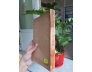 BƯỚC ĐẦU HỌC VẼ