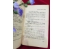 MƯA TRÊN CÂY SẦU ĐÔNG