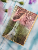 MỐI TÌNH CỦA CHÀNG NHẠC SĨ - HERMANN HEESE (VŨ ĐẰNG DỊCH)