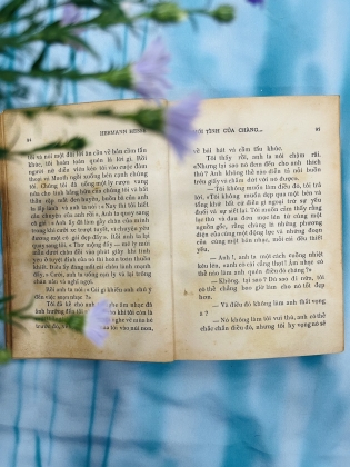 MỐI TÌNH CỦA CHÀNG NHẠC SĨ - HERMANN HEESE (VŨ ĐẰNG DỊCH)