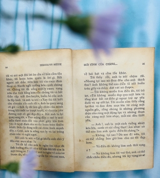 MỐI TÌNH CỦA CHÀNG NHẠC SĨ - HERMANN HEESE (VŨ ĐẰNG DỊCH)