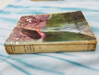 MỐI TÌNH CỦA CHÀNG NHẠC SĨ - HERMANN HEESE (VŨ ĐẰNG DỊCH)
