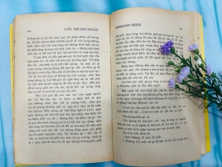 TUỔI TRẺ BĂN KHOĂN - HERMANN HESSE